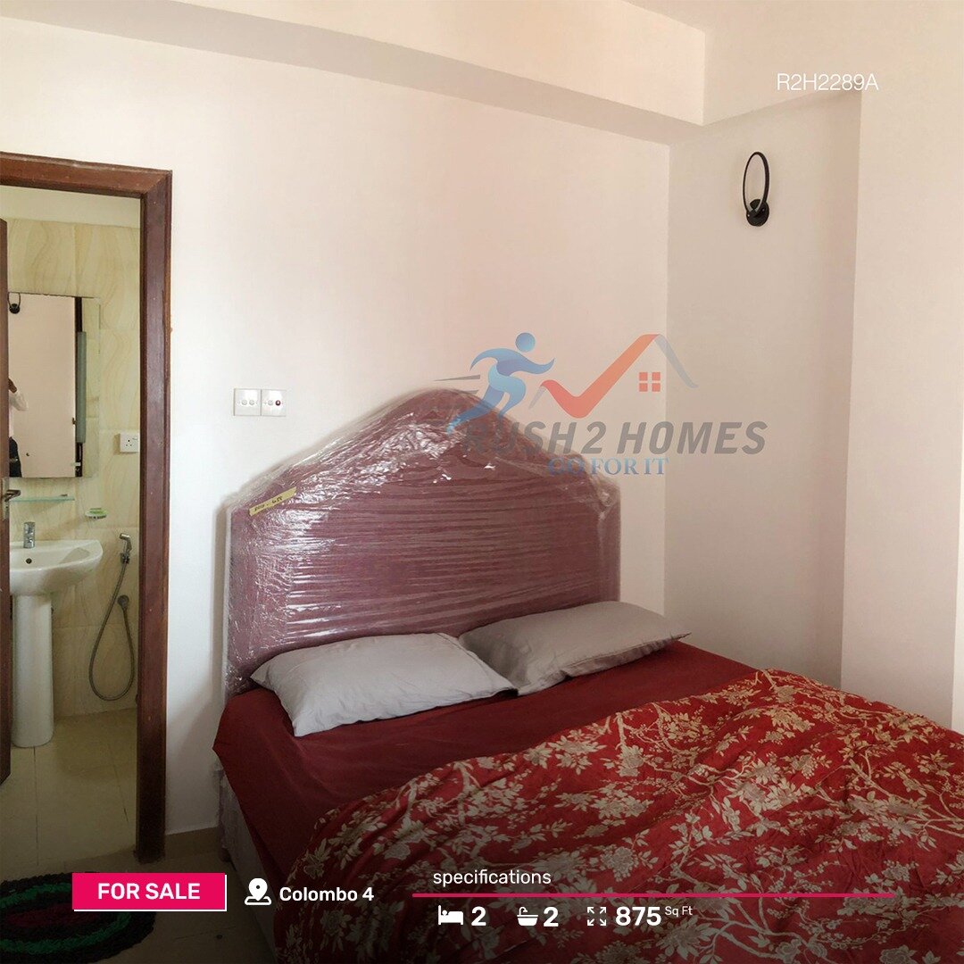 Are you looking for a cozy apartment in a prominent location in Colombo?